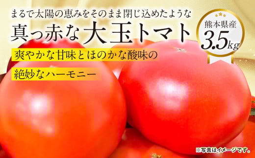 『まるで太陽の恵みをそのまま閉じ込めたような真っ赤な大玉トマト』約3.5kg 1箱 （熊本県産） 【2026年1月下旬発送開始】 野菜 やさい トマト とまと 大玉トマト