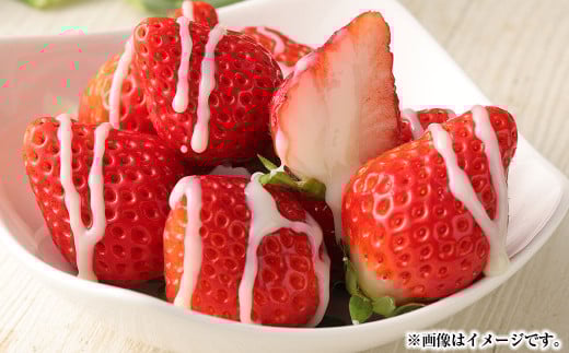 熊本県宇城市産 イチゴ 恋みのり 250g×4パック 合計約1kg 【2026年2月上旬発送開始】 いちご 苺 こいみのり 果物 くだもの フルーツ 果実 果肉 おやつ 熊本県産