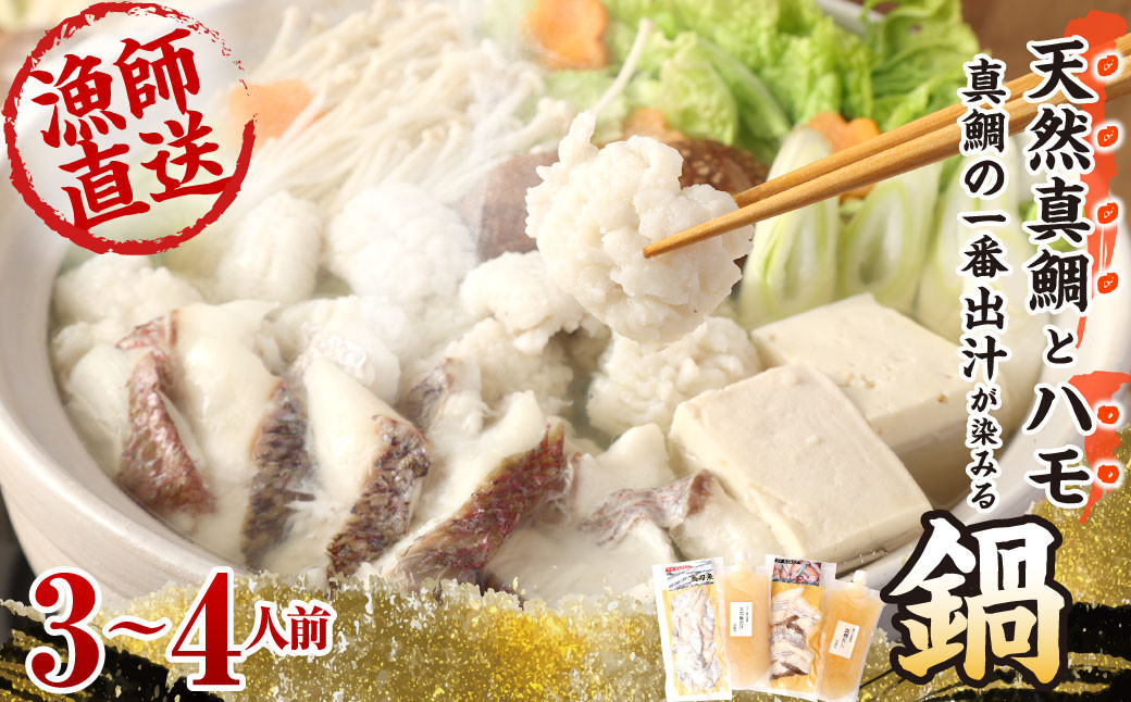 天然真鯛とハモ真鯛の一番出汁が染みる鍋 3～4人前 なべ 鍋 真鯛 ハモ 切身 出汁 魚貝