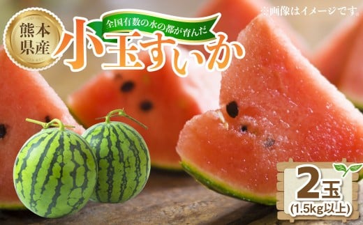 熊本県産小玉すいか 2玉（1.5kg以上）【2026年4月下旬発送開始】 熊本県産 国産 小玉すいか 小玉 すいか スイカ おやつ 果物 果実 フルーツ 1.5kg 2玉