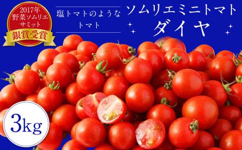 [2023年12月上旬発送開始]ソムリエ ミニトマト ダイヤ 3kg とまと トマト