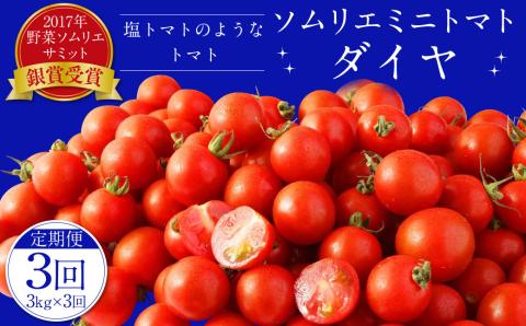 [年3回 定期便 /2024年1月発送開始]ソムリエ ミニ トマト ダイヤ 3kg×3回 合計9kg とまと トマト