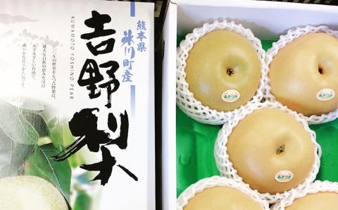 [2023年8月下旬発送開始]熊本県産 あきづき梨 約2kg 5〜6玉入り 梨 なし ナシ フルーツ 果物