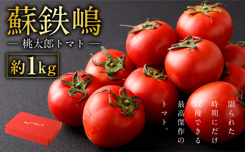 蘇鉄嶋 ( 桃太郎トマト ) 約1kg とまと トマト やさい 野菜 国産 [2025年5月上旬発送開始]