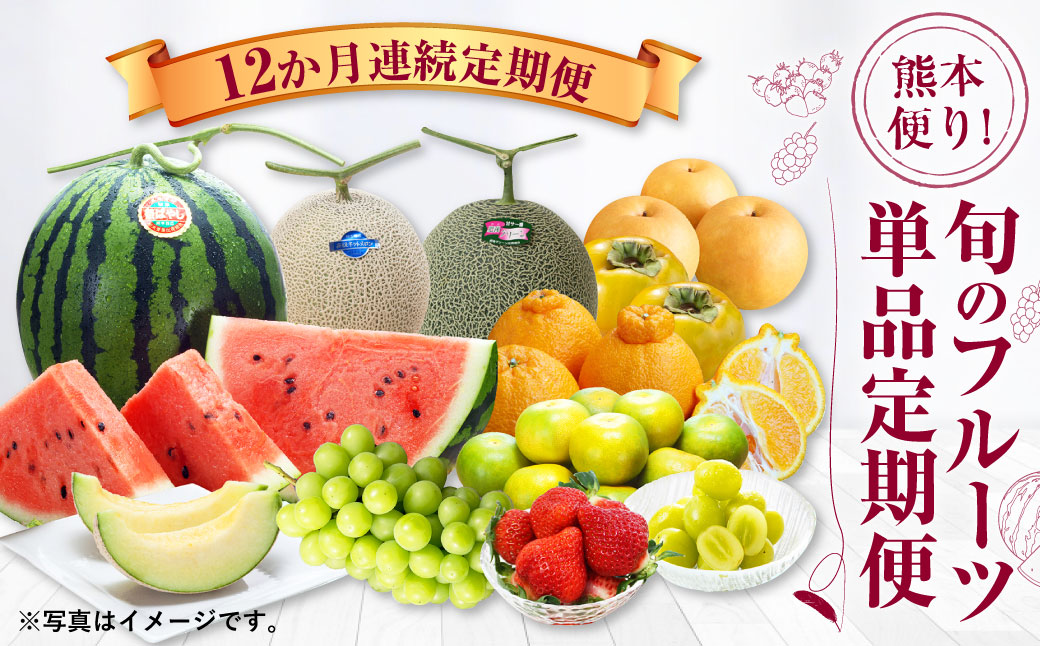 [12か月連続定期便]熊本便り! 旬のフルーツ 単品定期便 くだもの 果物 フルーツ 熊本県産 国産