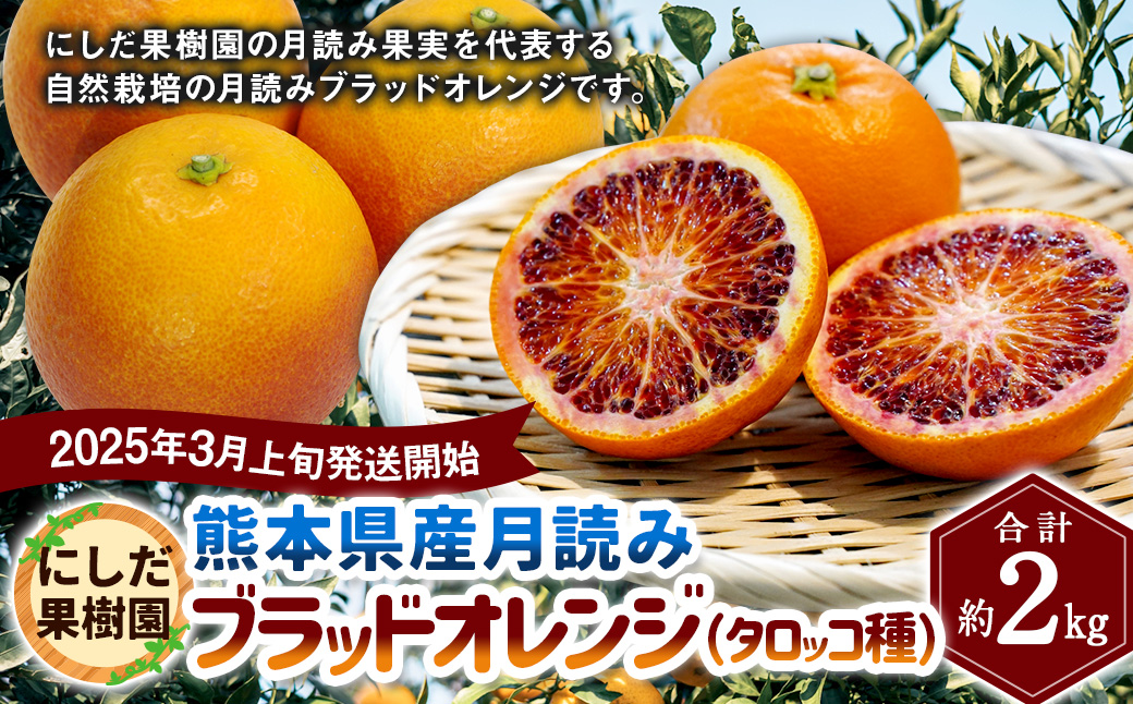 にしだ果樹園の熊本県産月読み ブラッドオレンジ (タロッコ種) 約2kg オレンジ 柑橘 みかん 蜜柑 フルーツ 果物 くだもの [2025年3月上旬発送開始]