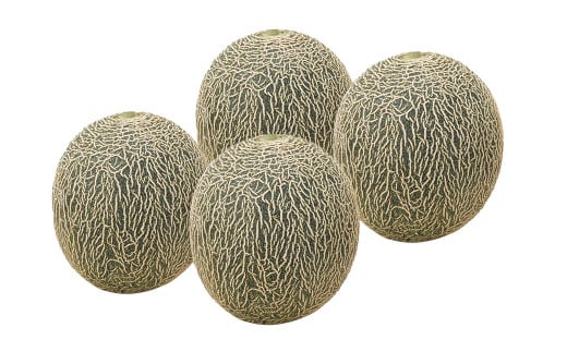 熊本県産肥後グリーンメロン 4玉