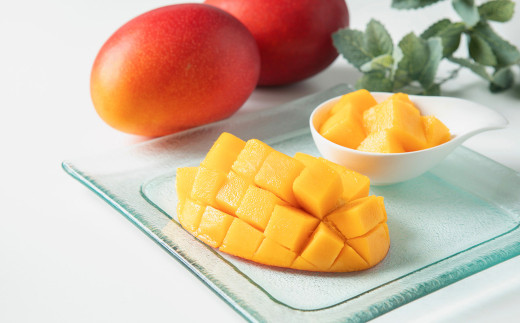 熊本県産マンゴー 4玉