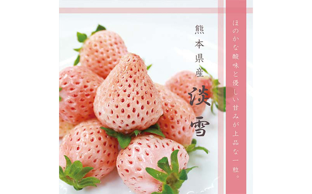 [2024年2月下旬発送開始]熊本県産 高級 白苺淡雪 ( 白いちご ) 約500g 苺 いちご イチゴ