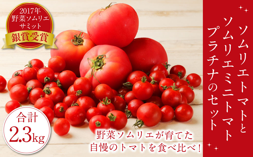 [2024年2月上旬発送開始][ 食べ比べ ]ソムリエ トマト 1.3kg と ソムリエ ミニトマト プラチナ 1kg の セット 合計2.3kg 2種 とまと
