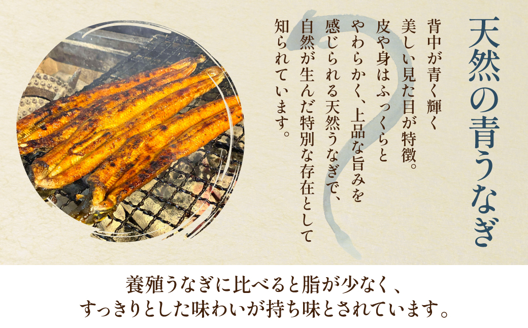 熊本県 八代市産 天然青うなぎの蒲焼 蒲焼セット 1尾（90g～110g） 自家製うなぎのタレ 鰻 ウナギ うなぎの蒲焼 丑の日 国産 うな丼 うな重