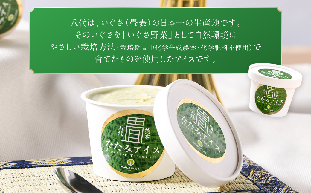 たたみアイス 8個入 いぐさ 畳 スイーツ いぐさミルク味 玄米味 食用いぐさ 和風アイス デザート おやつ ジャージー牛乳使用