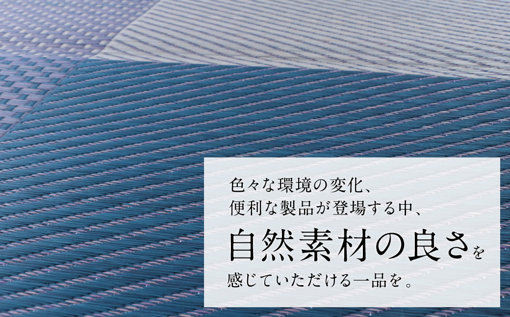 熊本県八代市産のい草を使って織り上げたラグ『DXモーニング』(サイズ：191cm×250cm)(カラー：ネイビー) 国産 イグサ 茣蓙 ござ ラグ カーペット 絨毯 マット 織物 敷き物 インテリア