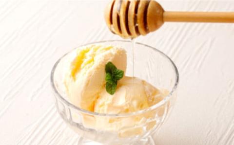 プロ仕様仕上げ専用蜂蜜 2本 蜂蜜あめ 1袋 八代市 はちみつ