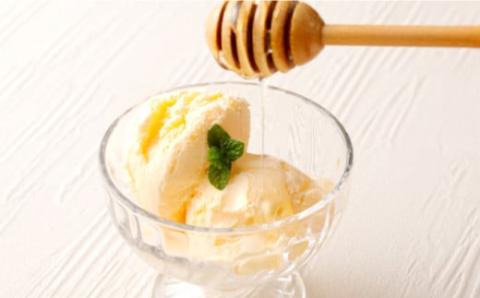 プロ仕様仕上げ専用蜂蜜 れんげ蜂蜜 蜂蜜あめ 各10本ずつ