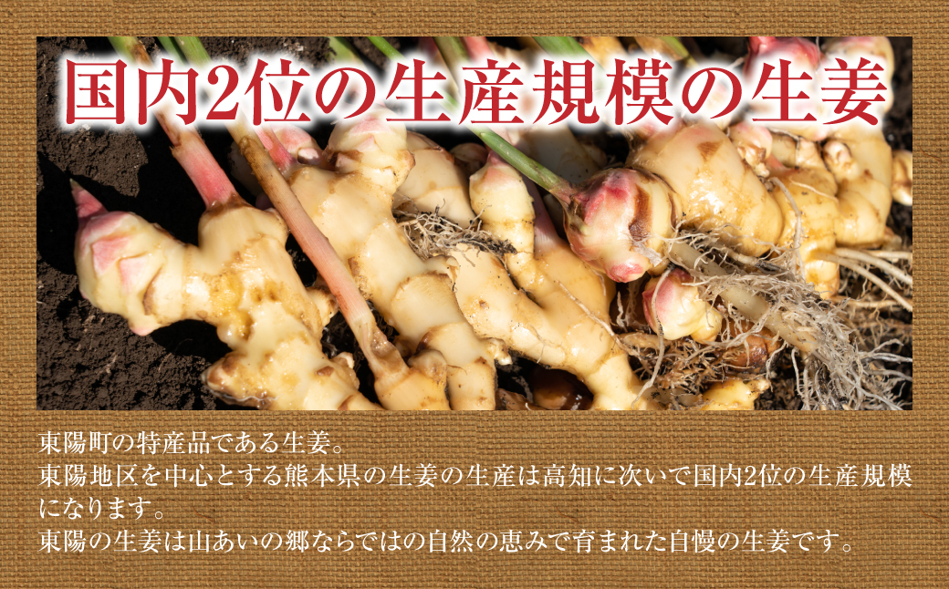 【先行予約】 熊本県八代市産 新生姜1kg 季節限定 しょうが ショウガ ガリ ジンジャー 野菜 食品 温活 冷え対策 旬 【2026年9月上旬より順次発送】