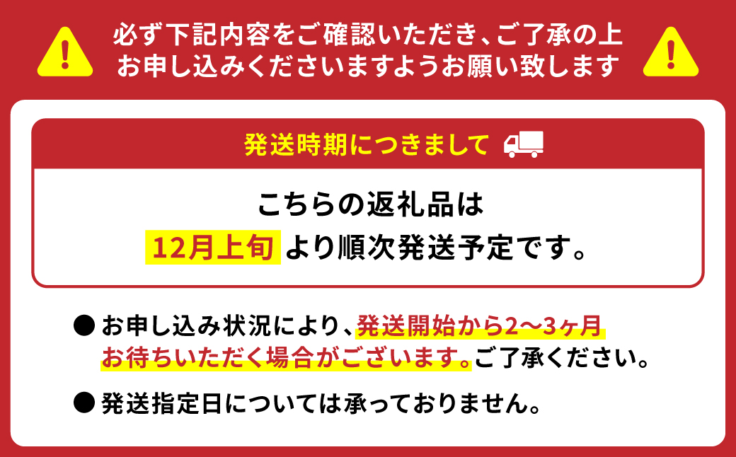 野菜ソムリエ岡田健志郎が育てた ミニトマト 3kg以上 トマト 野菜 熊本県産 新鮮 サラダ やさい とまと 八代市産 九州