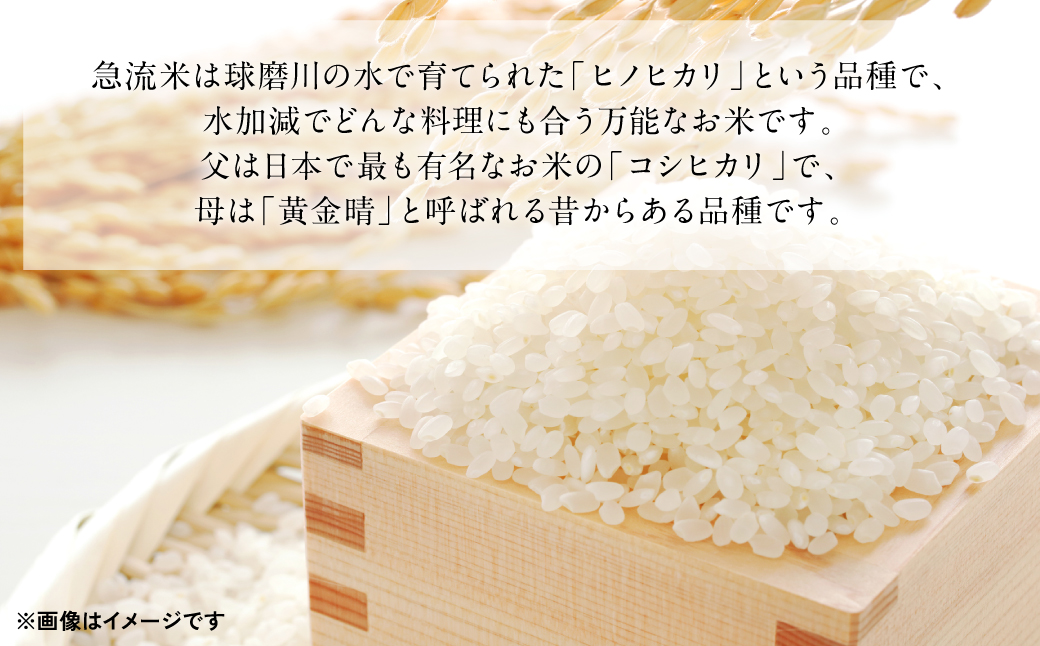 《令和7年産》熊本県八代市産 球磨川急流米 ヒノヒカリ 10kg 国産 白米 精米 お米 コメ 米 ライス ご飯 ごはん 白飯
