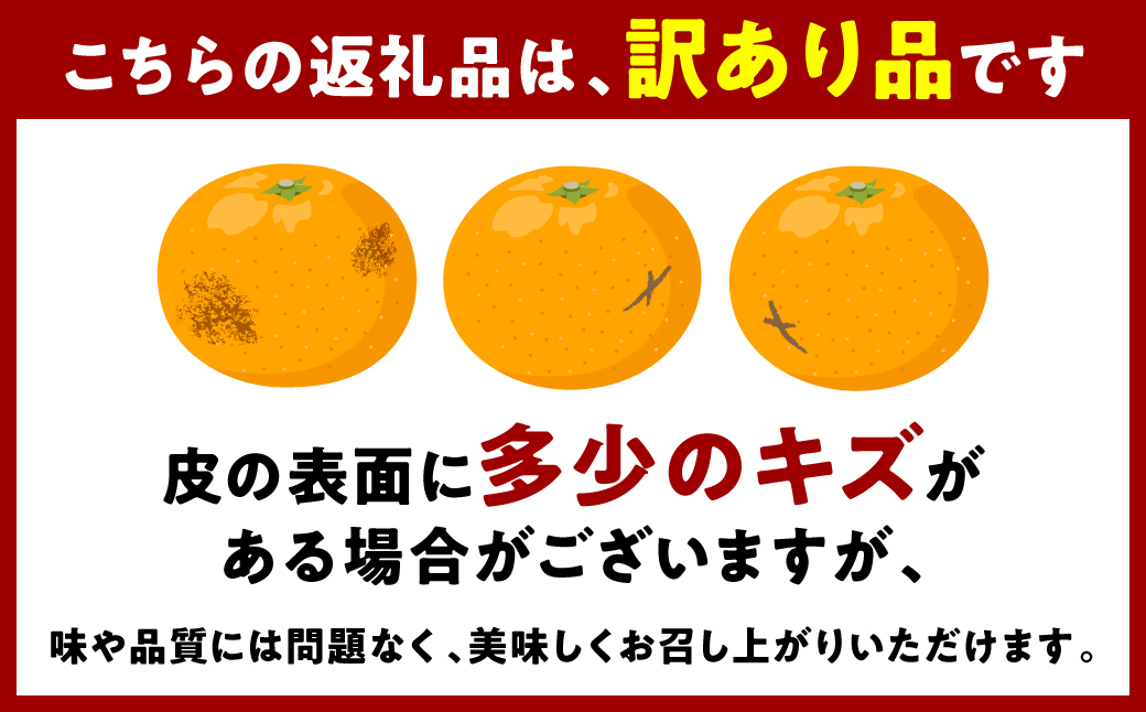 ＜訳あり＞ 紅八朔 ご家庭用 約10kg 柑橘 かんきつ 果物 くだもの フルーツ べにはっさく 熊本県 八代市