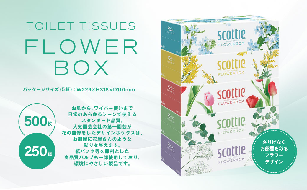 【定期便3回】【毎月お届け】【スコッティ】 ティシュー フラワーボックス 250組 10箱 計30箱 ティッシュ 日用品 生活必需品 消耗品 紙 まとめ買い 備蓄 防災備蓄 デザインボックス ストック 新生活 防災 生活用品 日用消耗品 箱ティッシュ
