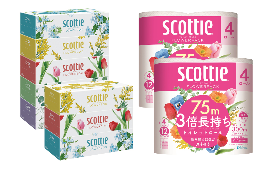 【定期便3回】【毎月1回お届け】【スコッティ】ティシュー フラワーボックス 250組（5箱パック×1セット・3箱パック×1セット）＋フラワーパック 3倍長持ち（4ロール(ダブル)パック×2セット）ティッシュ トイレットペーパー 日用品