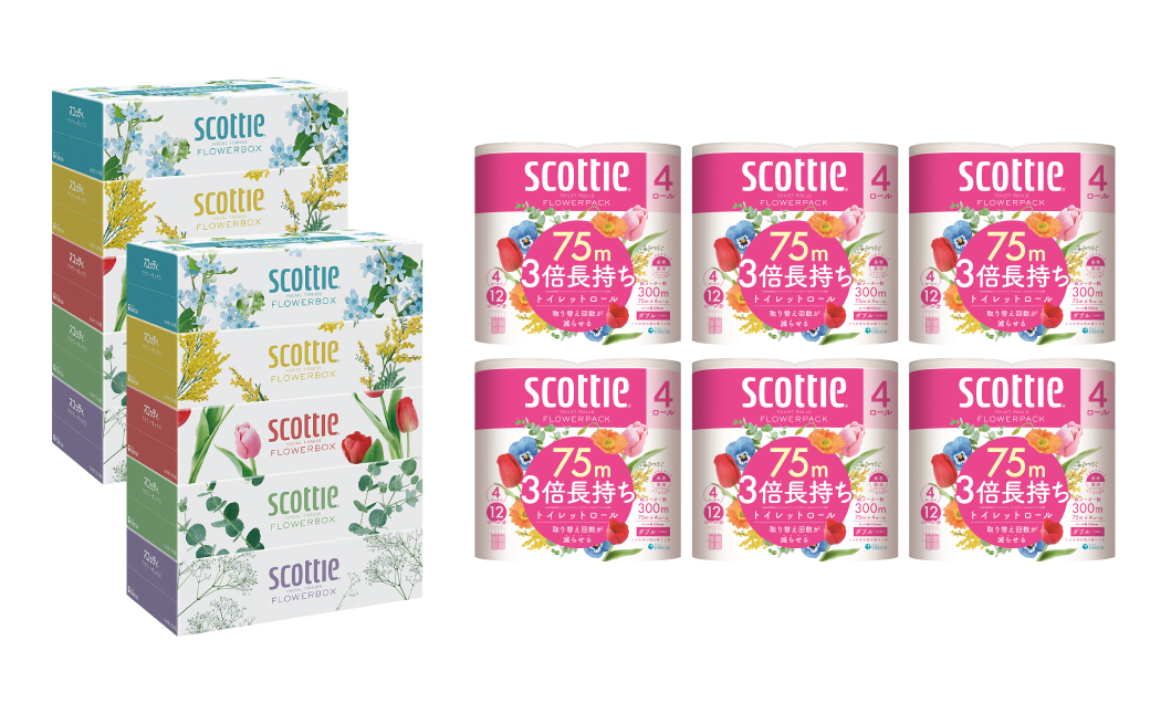 【定期便3回】【毎月1回お届け】【スコッティ】ティシュー フラワーボックス 250組（5箱パック×2セット）＋フラワーパック 3倍長持ち（4ロール(ダブル)パック×6セット）ティッシュ トイレットペーパー 日用品