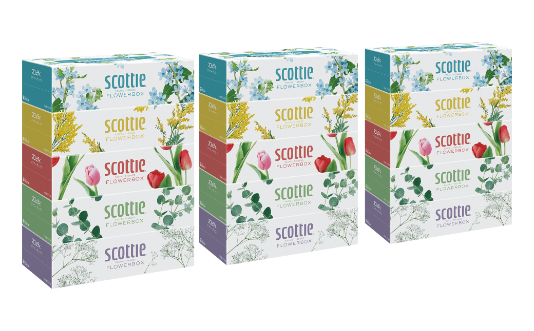 【定期便3回】【毎月お届け】【スコッティ】ティシュー フラワーボックス 250組 5箱パック×3セット 合計15箱 ティッシュ 日用品 生活必需品 消耗品 紙 まとめ買い 備蓄 防災備蓄 ストック デザインボックス