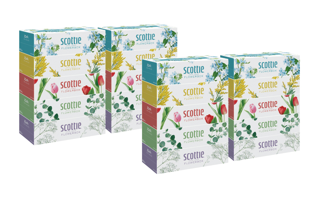 【定期便6回】【毎月お届け】【スコッティ】ティシュー フラワーボックス 250組 5箱パック×4セット 合計20箱 ティッシュ 日用品 生活必需品 消耗品 紙 まとめ買い 備蓄 防災備蓄  ストック デザインボックス