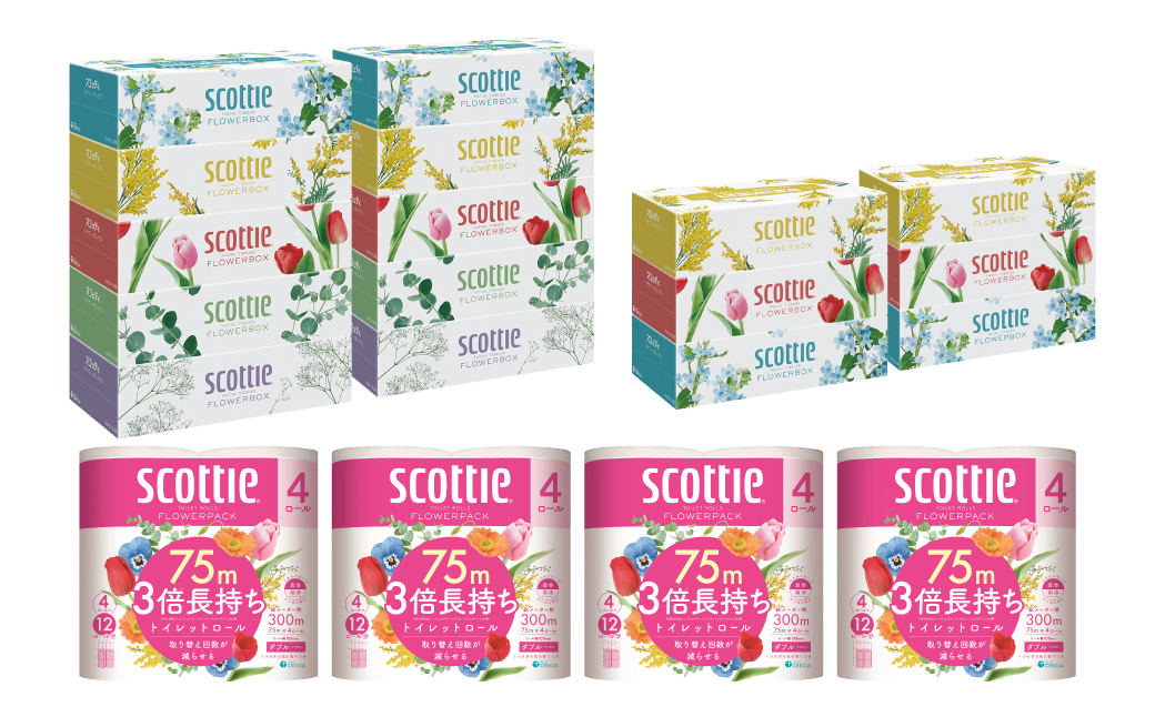 【定期便6回】【毎月お届け】【スコッティ】ティシュー フラワーボックス 250組（5箱パック×2セット・3箱パック×2セット）＋フラワーパック 3倍長持ち（4ロール(ダブル)パックx4セット）ティッシュ トイレットペーパー 日用品 ストック
