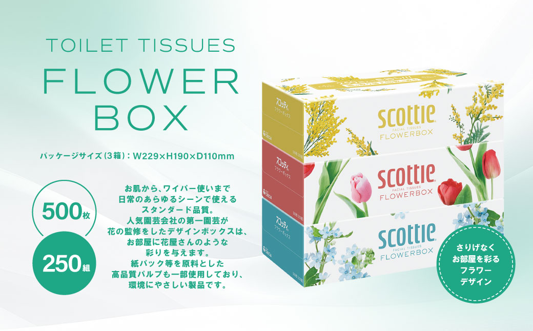 【定期便3回】【毎月お届け】【スコッティ】 ティシュー フラワーボックス 250組 3箱 計9箱 ティッシュ 日用品 生活必需品 消耗品 紙 備蓄 防災備蓄 ストック デザインボックス 新生活 防災 生活用品 日用消耗品 箱ティッシュ 熊本県 八代市