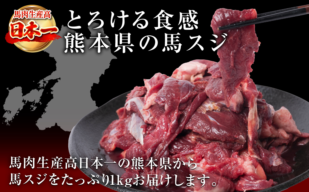 馬スジ 合計1kg 約500g×2パック 馬肉 馬 肉 お肉 煮込み 鍋 おでん 熊本名物