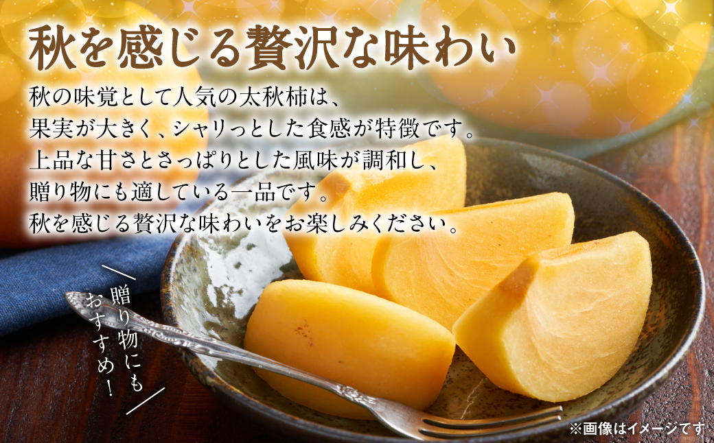 【先行予約】 太秋柿 約2kg (5～8玉) フルーツ 果物 くだもの 柿 カキ 旬 甘い おやつ 熊本県 八代市 【2026年10月上旬より順次発送】