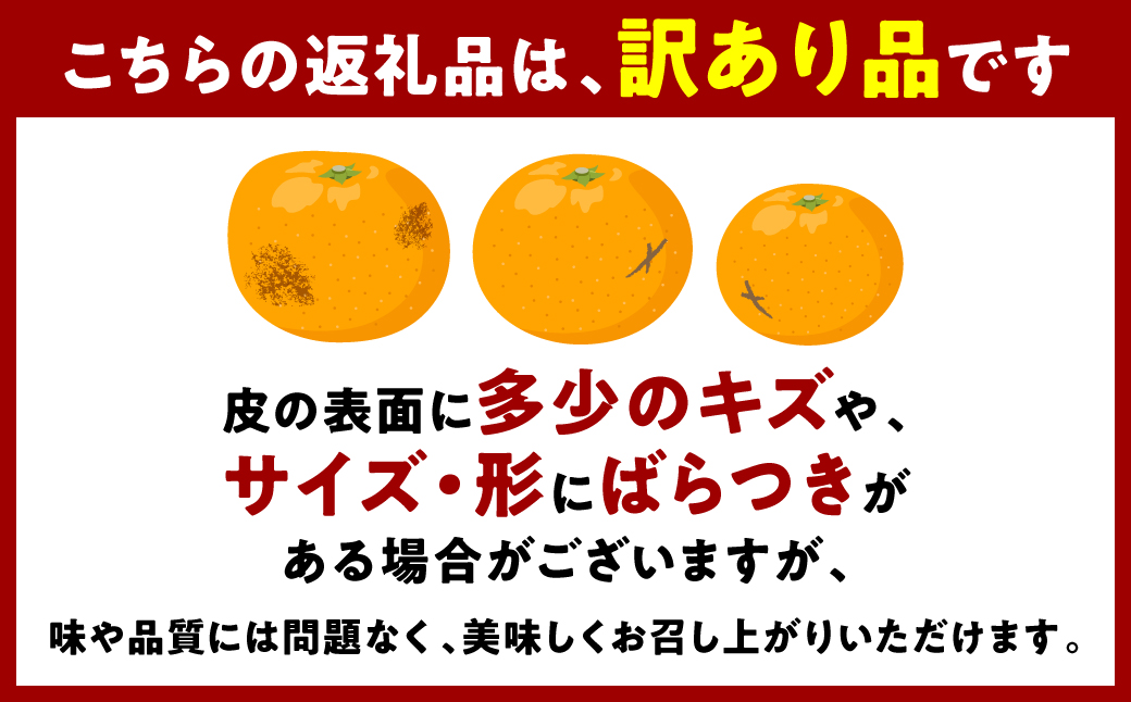 【訳あり】みかん 家庭用 (3S～3Lサイズ) 約10kg 八代市産 熊本 ご家庭用 蜜柑 ミカン 柑橘 くだもの 果物 フルーツ デザート