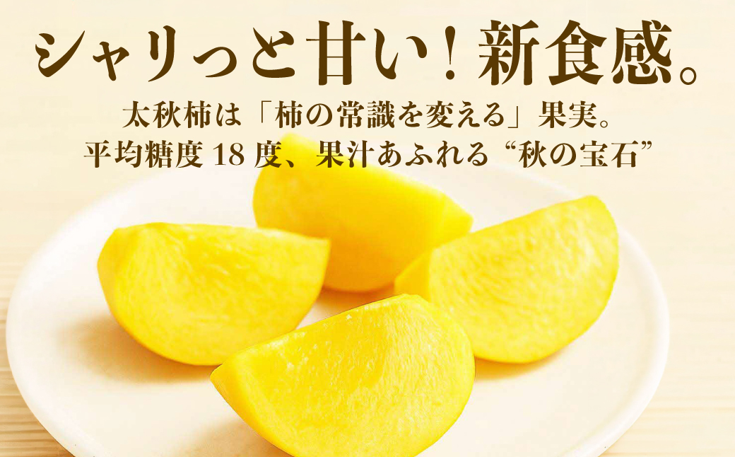 【先行予約】 太秋柿 約3kg （8～15玉） フルーツ くだもの 果物 柿 かき カキ おやつ デザート 秋の味覚 秋 旬 熊本県 八代市 【2026年10月上旬より順次発送】