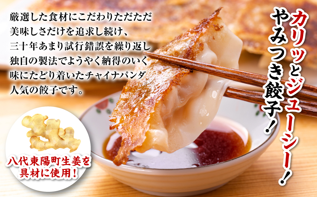 羽根つき冷凍生餃子1パック(28個入)　たれとラー油付