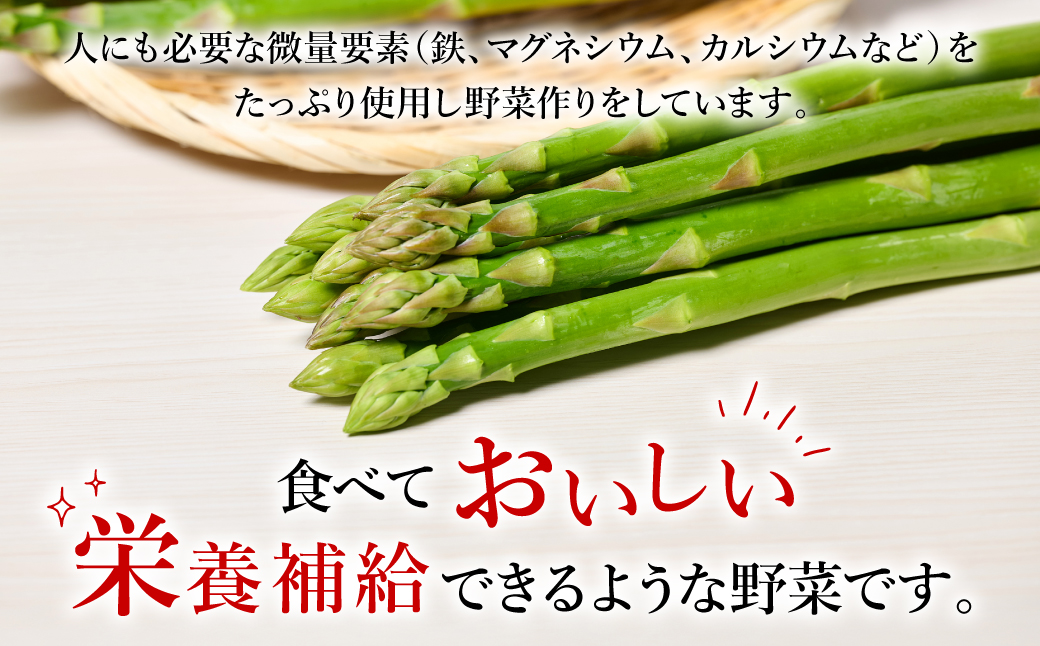 【先行予約】 熊本県 八代市産 アスパラガス 2kg 新鮮 アスパラ 野菜 やさい 旬 【2026年4月上旬より順次発送】