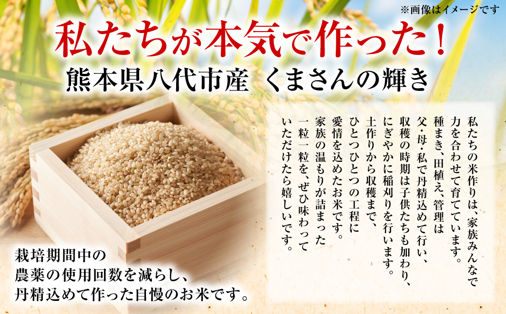《令和7年産》 くまさんの輝き 玄米 10kg 熊本県 八代市産 米 お米 国産
