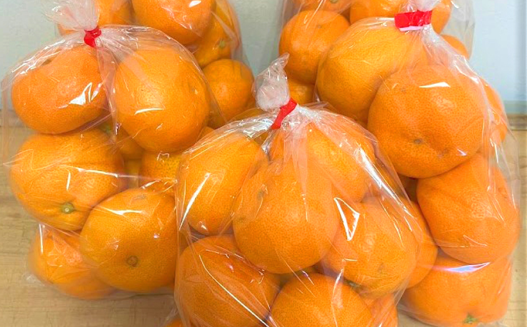 【訳あり】 熊本県八代市産 ご家庭用みかん5kg 蜜柑 柑橘 ミカン 