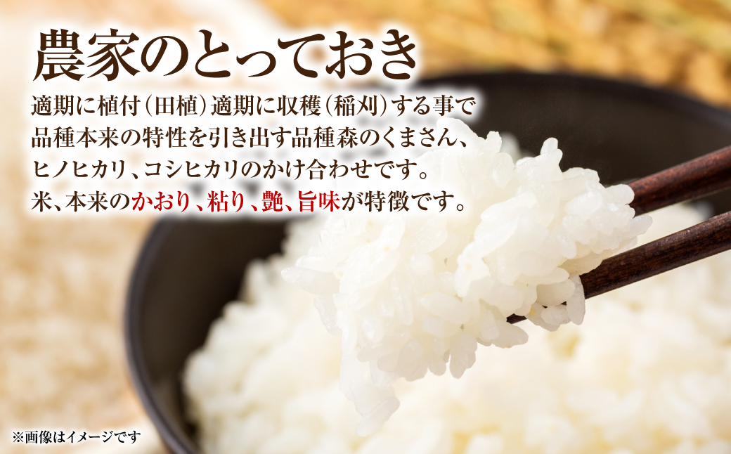【定期便6回】 【令和7年産】 熊本県八代市産 森のくまさん 農家のとっておき 5kg×6回 米 お米 精米  国産 白米 ごはん ご飯
