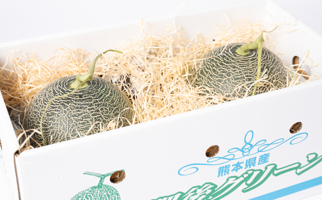 【先行予約】高糖度 2026年 八代産 肥後グリーンメロン 3Lサイズ以上 4～5玉 化粧箱入 お中元 夏 ギフト メロン めろん フルーツ 期間限定 【2026年5月中旬より順次発送】