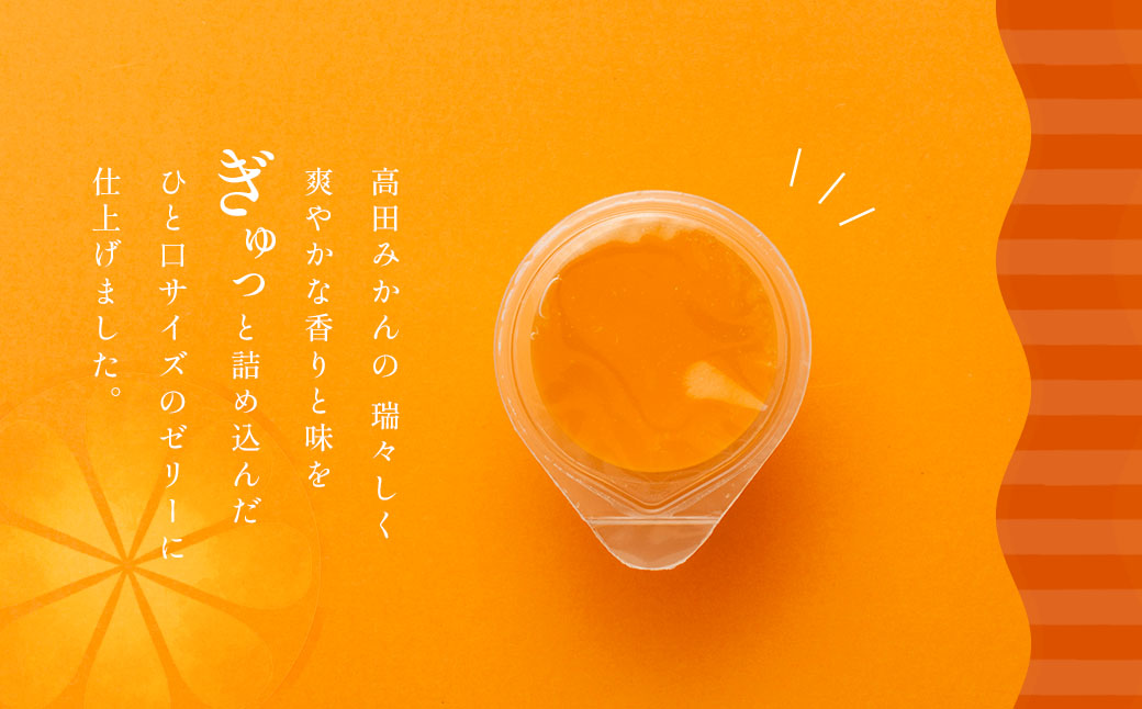 高田みかんゼリー　8個入