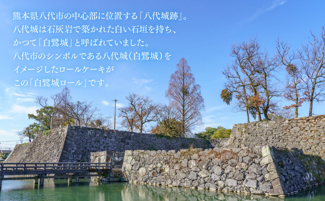 白鷺城ロール 菓子 おやつ デザート スイーツ かわいい 洋菓子 ロールケーキ 生クリーム カスタード カスタードクリーム 国産小麦粉 白鷺城 記念日 誕生日 お祝い