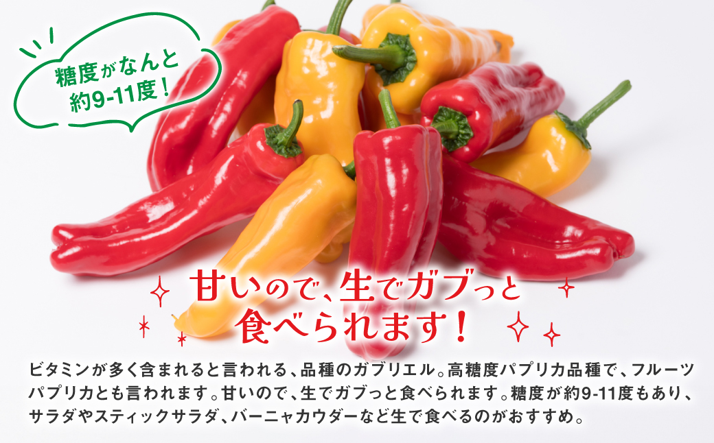 【先行予約】 パプリカ ガブリエル 1kg 八代市産 宮島農園 野菜 新鮮野菜 緑黄色野菜 国産 熊本県産 【2026年3月上旬より順次発送】