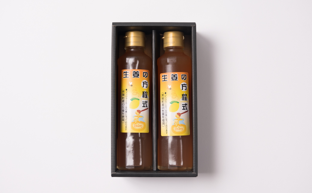 生姜の方程式 合計400ml (200ml×2本) 蜂蜜生姜シロップ ジンジャーエールの素 しょうが ショウガ 温活 冷え対策 ドリンク 熊本県 八代市