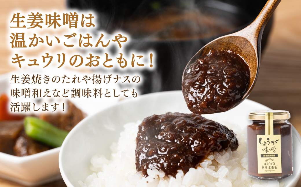 温活セット 生姜を使った加工品4点セット 生姜 温活 厳選 醤油 味噌 ふりかけ ごはんの素 熊本県産 八代市産 国産 しょうが しょうゆ みそ