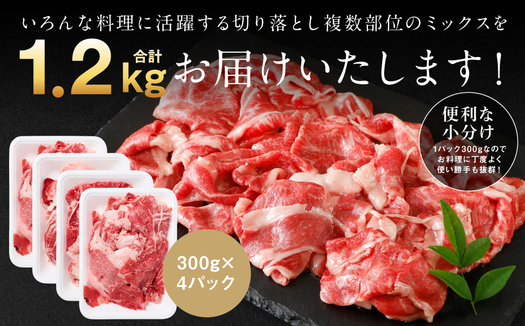 【訳あり】 くまもと黒毛和牛 切り落とし 1.2kg（300g×4）  黒毛和牛 牛肉 和牛 ブランド牛 ブランド和牛 訳あり牛肉 ブランド牛肉 牛肉切り落とし ブランド牛切り落とし 小分け 熊本県産 くまもと 国産 人気 毎月数量限定