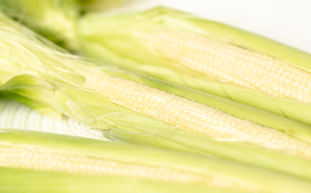 【先行予約】 ヤングコーン 30本 とうもろこし 朝採れ 朝採り 新鮮 ハウス栽培 皮付き 八宝菜 シチュー 蒸し焼き 野菜 旬 国産 熊本県 八代市 【2026年4月下旬より順次発送】