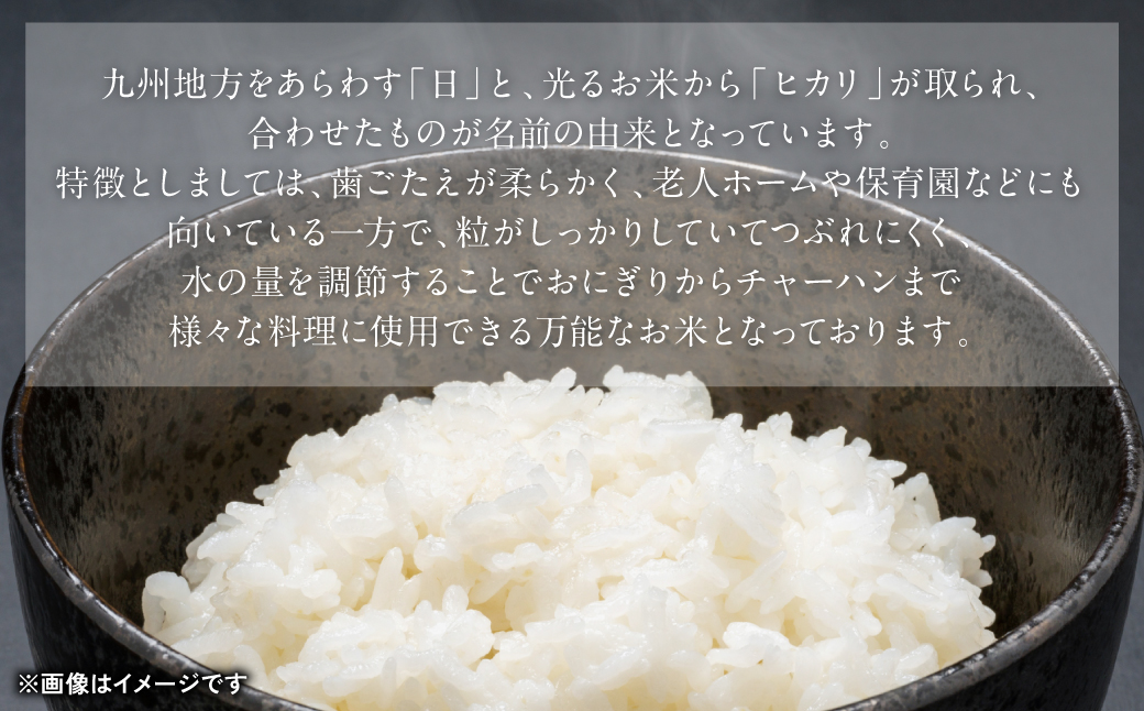 《令和7年産》熊本県八代市産 球磨川急流米 ヒノヒカリ 20kg 国産 白米 精米 お米 コメ 米 ライス ご飯 ごはん 白飯