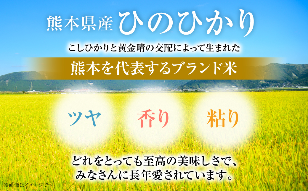 【令和7年産】 熊本県産 くまモンひのひかり 10kg (5kg×2袋) 米 お米 精米 白米 ごはん ご飯 熊本
