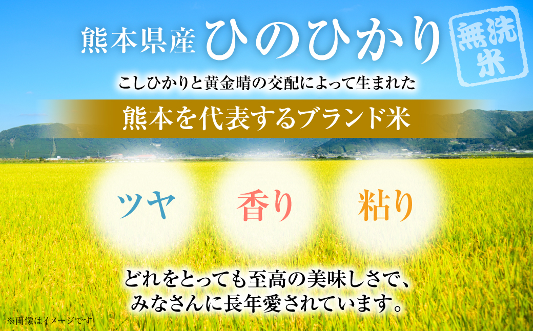 【令和7年産】 熊本県産 無洗米 熊本ひのひかり 5kg (5kg×1袋) 米 お米 精米 白米 ごはん ご飯 熊本